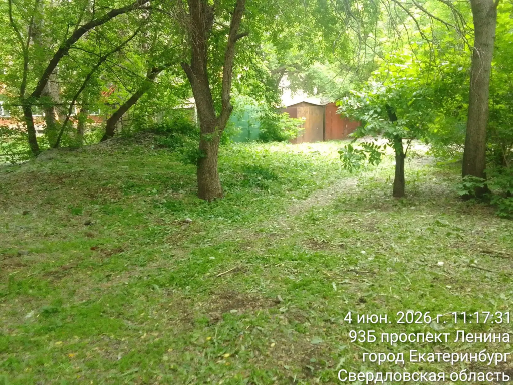 IMG_20260722_131219.png