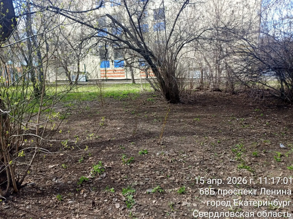 IMG_20260415_153806.png